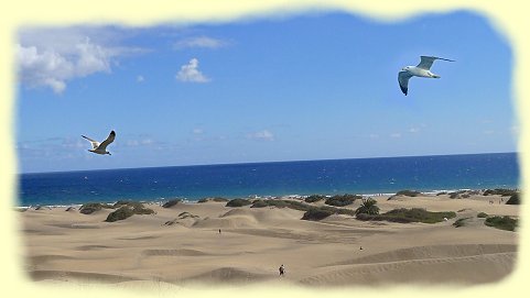 Maspalomas 2013 - Dnenlandschaft