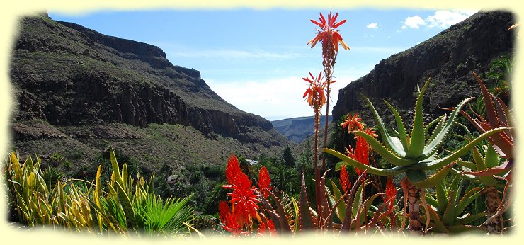 Palmitos-Park - Blick ins Tal