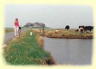 Hallig - Hooge