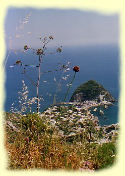 Ischia - Sant Angelo