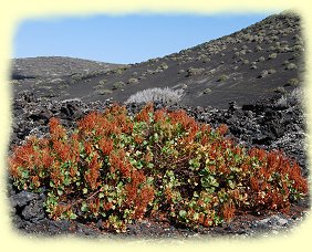 Nationalpark Timanfaya