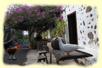 Tiagua - Museo Agricola El Patio - 2