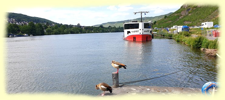 Bernkastel-Kues - NickoSpirit