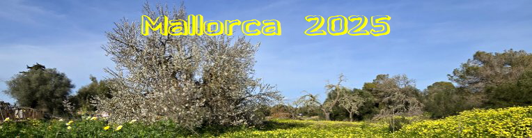 Mallorca 2025