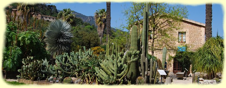 Botanischen Garten von Soller