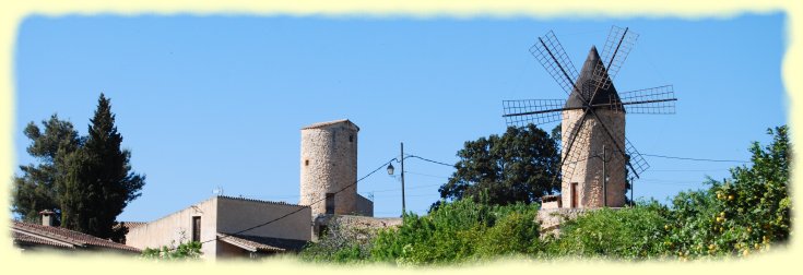 Windmühle in Sineu