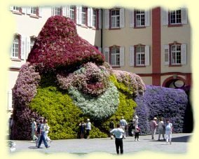 Insel Mainau - Riesen-Blumen-Garten-Zwerg