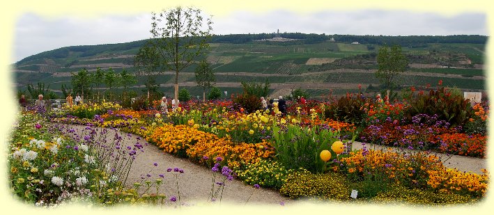 Landesgartenschau Bingen 2008