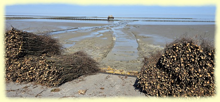 Greetsiel 2026 - Buschb�ndel