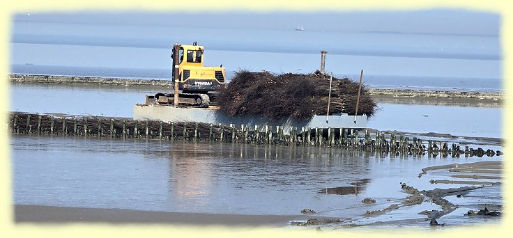 Greetsiel 2026 - Buschb�ndel - 1