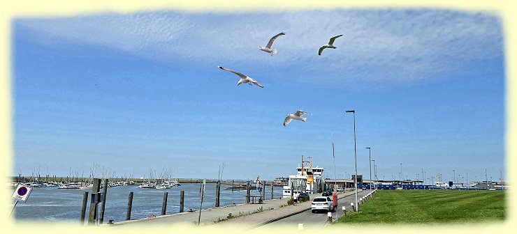 Norddeich - Hafen - 2