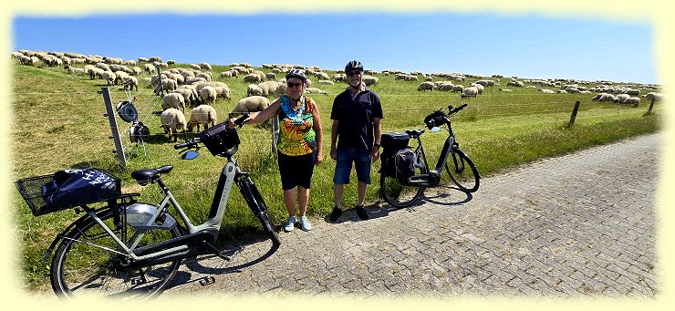 Rasenm�her der K�ste