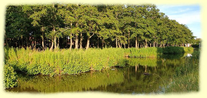 Norddeich - Kurparkteich