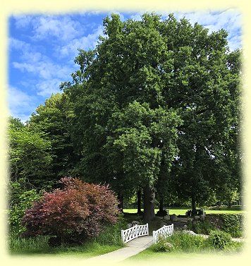 Schloss L�tetsburg - 6