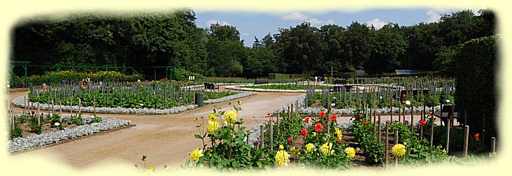 Dahlienpark Hamburg