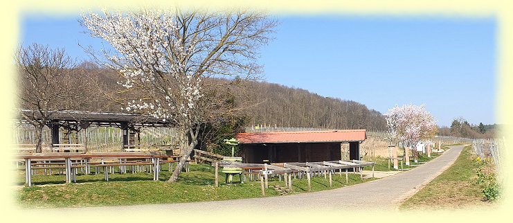 Schweigen-Rechtenbach - Sonnenberghtte