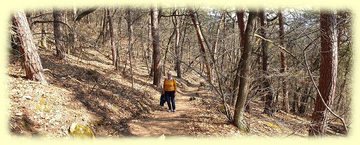 Bad Drkheim - Wanderweg