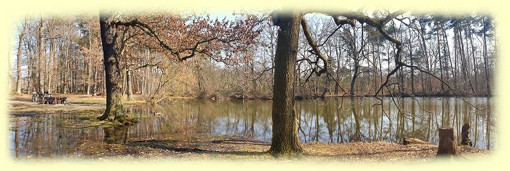 Soldatenweiher bei Neustadt