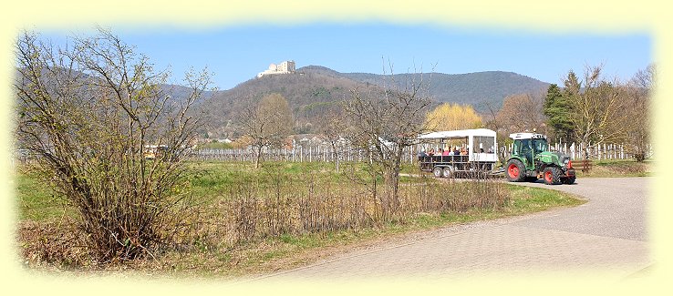 Hambach - Planwagenfehrt