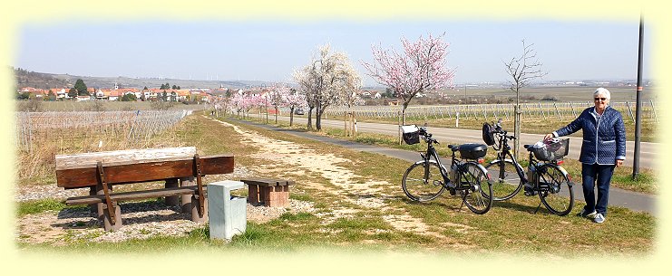 Bobenheim am Berg