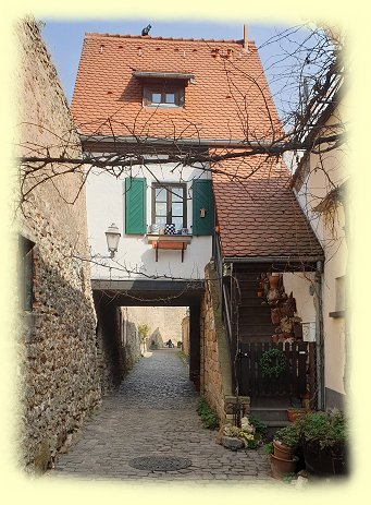 Freinsheim -- Stadtmauer