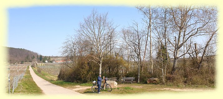 Weinstraen-Rundtour