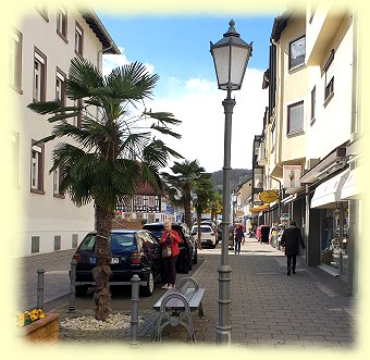 Bad Bergzabern - Marktstraße Bad Bergzabern - Marktstraße