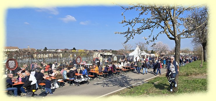 Edenkoben 2026 - Mandelbl�tenfest - 2