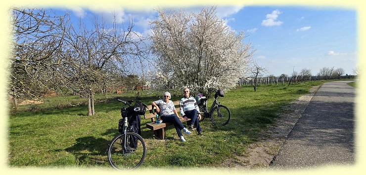 Diedesfeld - Radweg