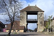 Pfalz 2026 - Startseite