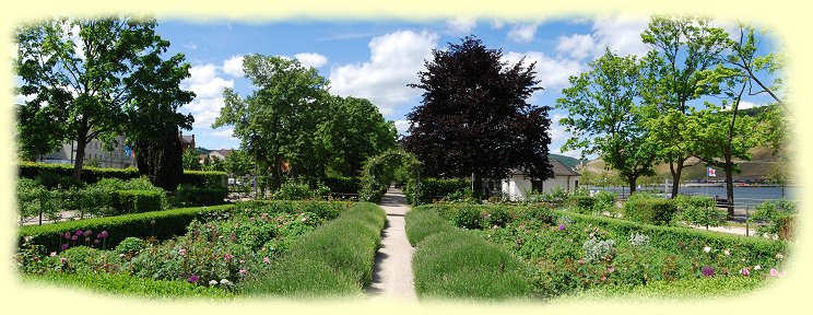 Bingen - Rosengarten