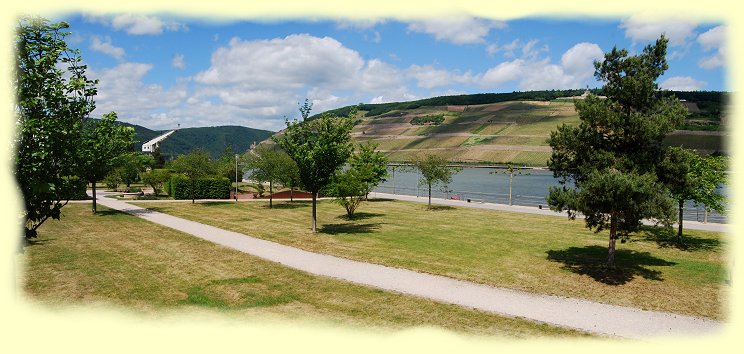 Bingen - Zierkirschenhain