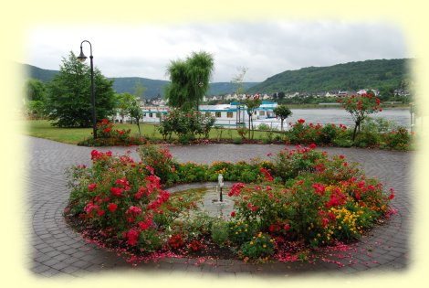 Braubach - Rosenanlage auf der Rheinpromenade