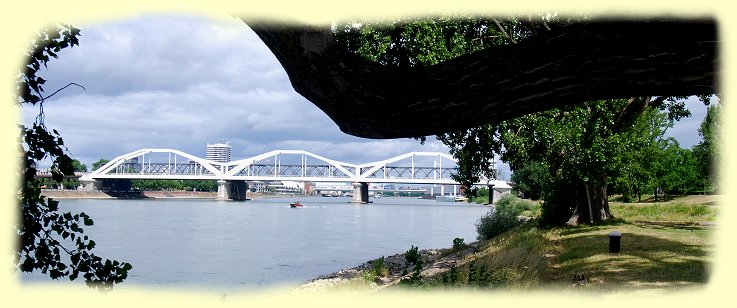 Mannheim - Konrad-Adenauerbrcke