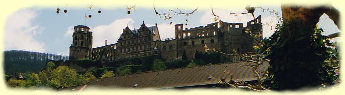 Schloss in Heidelberg