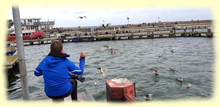 Sassnitz - Hafen