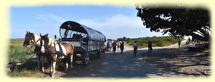 Hiddensee - Kutschfahrt - 2