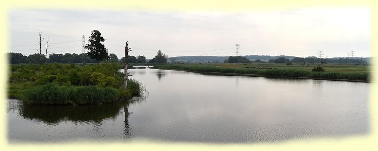 Uferlandschaft zwischen Gartz und Schwedt