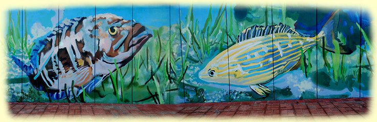 Los Cristianos Hafenmauer 2017