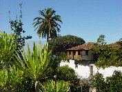 Teneriffa 2007