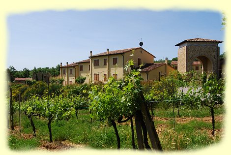 Borgo del Faggio 2 Borgo del Faggio 2