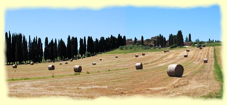 Chiana Tal - Heuballen und Farm