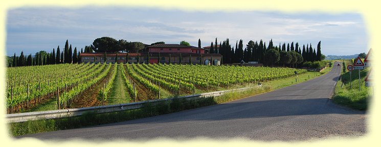 Weingut bei Montapulziano