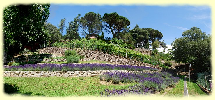 Meran - Kräutergarten - Tappeiner Weg Meran - Kräutergarten - Tappeiner Weg