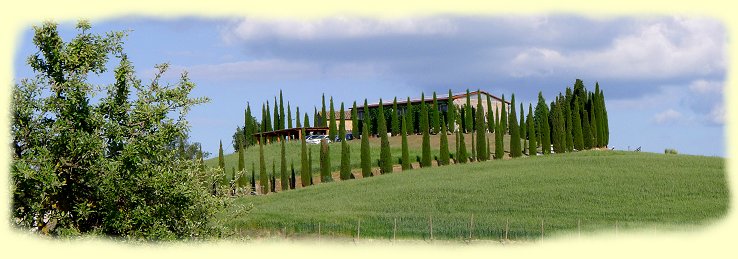 Quirica d´Orcia - Zypressenallee Quirica d´Orcia - Zypressenallee