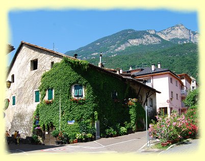 Tramin - Bauernhaus mit Efeu berankt