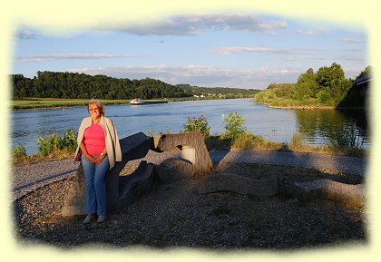 Vilshofen - Landzunge zwischen Donau und Vils Vilshofen - Landzunge zwischen Donau und Vils