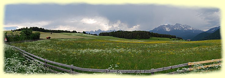 Wiesenflchen in Richtung Cavalese