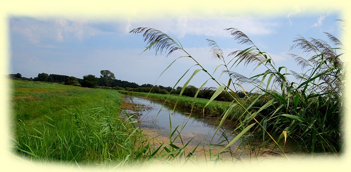 Naturschutzgebiet - Thurbruch