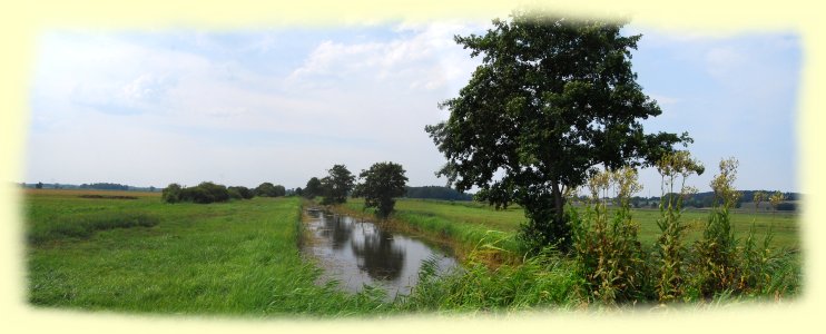 Naturschutzgebiet Thurbruch